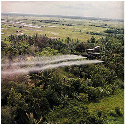 Helicopter spraying jungle foliage with herbicides Helicopter spraying jungle foliage with herbicides