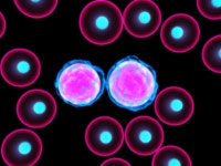 leukemia cells
