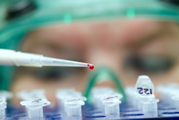 Researcher filling test vials with blood samples