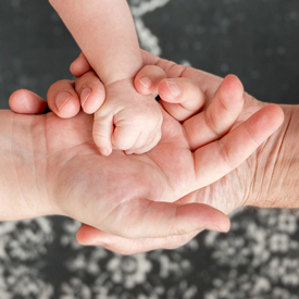 adult hands holding an infant's hand.
