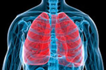 a digital representation of human lungs