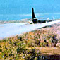 UC-123 plane spraying chemicals on foliage