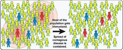 Illustration of herd immunity when enough people are immunized, protecting most in the community